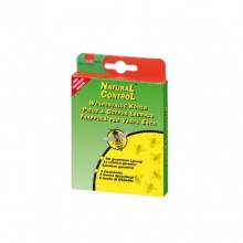 Wespenabwehr NaturalControl Kder fr Wespenfalle 2 St. Bild 1
