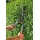 Gardena 391-20 Classic Heckenschere 540 FSC pure Bild 2