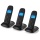 Topcom TE-5733 schnurloses DECT-Telefon Bild 1