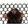 Maulwurfgitter in 1m Breite Whlmausbekmpfung Novmax Bild 2