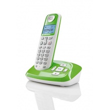 Grundig D210A schnurloses DECT Telefon grn Bild 1
