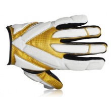 Full Force Hornet,LB/RB/Rec American Football Handschuhe Bild 1