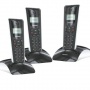 Grundig Selio TRIO Schnurlostelefon (DECT) Bild 1