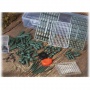 425 Teile Karpfenset Carp Angler Zubehr Angelset,Behr Bild 1