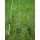 ANGELRUTEN ANGELROLLEN usw ANGELSET v Skorpion Byron Bild 3