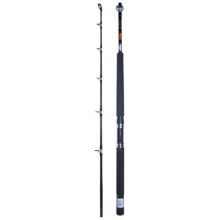 Abu Garcia Meeresrute GT 30,Bologneserute Bild 1