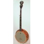 Ozark Bluegrass Gold Laydie 2143G Professionell Banjo Bild 1