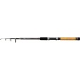 Zebco Multirute Teleruten 2.40m Topic Tele Star II 60g Bild 1