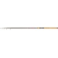 Zebco Multirute Teleruten 2.70m Trophy MPX 80 40-80g Bild 1