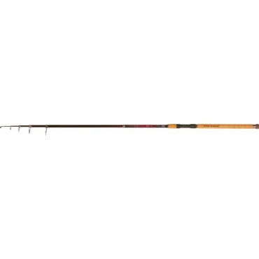 Zebco Multirute Teleruten 2.70m Trophy MPX 80 40-80g Bild 1