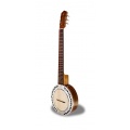 APC Instruments 204 Banjo Bild 1