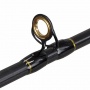 Angel DomneSpincasting Rute 2,70m 2-tlg. 7-25g Bild 1