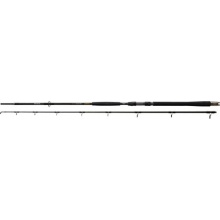Daiwa Steckrute Exceller CatfishLnge 3,30m Bild 1