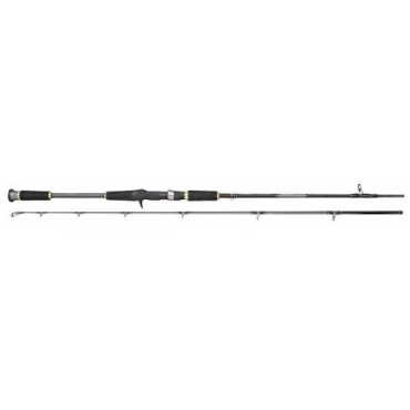 Spro Salty Beast Jig Bait 2,40m 60-150g Rod Steckrute Bild 1