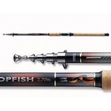 Cormoran Topfish T. Aalrute 3,00m 40-70g Teleskoprute Bild 1