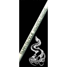 Taffi Tackle Guiding Wallerrute 3,35m 250-500g Bild 1