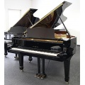 Yamaha C7 Flgel Bild 1
