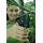 Fiskars Power Step Gartenschere Amboss, Lnge: 19 cm Bild 4