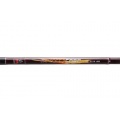DAM Impressa Carp - Karpfenrute - 3.90m,Wurfrute  Bild 1