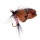 12 St Schmetterling Trocken Fliegenfischen Zubehr Bild 2