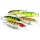 elbfang: Wobbler Set 5 Stck Kunstkder Angelset Bild 1