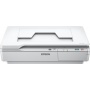 Epson Flachbettscanner 1200x1200 dpi USB 2.0 Bild 1