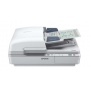 Epson Flachbettscanner 600x600 dpi USB 2.0 wei Bild 1