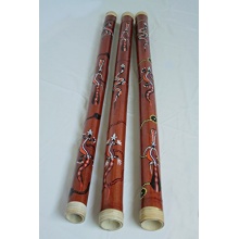Four Elements Bambus Didgeridoo Bild 1