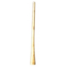 Ethno Eucalyptus Didgeridoo  Bild 1