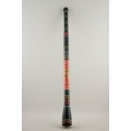 Four Elements mit Tierbemalung Gecko Slide Didgeridoo Bild 1