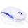 CSL USB PC Maus ergonomisches Design blaue LEDs  Bild 2