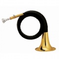 GiMa Frst Pless Horn Bild 1