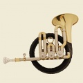 Tuyama Frst-Pless Horn in B Jagdhorn Bild 1
