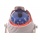 Schiffskompass Sonnenschild 12V von wellenshop Bild 4
