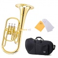 Mendini MAH-L Lackiert E-Flat Althorn Bild 1