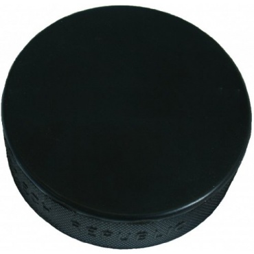 Eishockey Puck, Hockey Puck von Lion Sport Bild 1