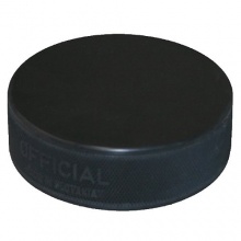 Eis Hockey Puck vin vegum Bild 1