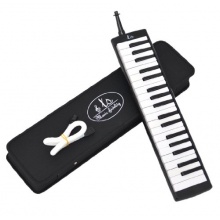 ts-ideen Melodica  Bild 1