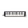 Suzuki Pro-37 V2 Melodica Bild 1