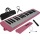 Steinbach pinke Melodica  Bild 1