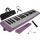 Steinbach  lila Melodica Bild 1