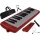 Steinbach rot 27 Tasten Melodica Bild 1