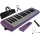 Steinbach lila 32 Tasten Melodica Bild 1