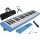 Steinbach blau 37 Tasten Melodica Bild 1
