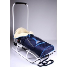 3in1 Davoser Schlitten mit Rckenlehne von LCP Kids Bild 1