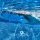 WIN Junior Kickboard - Blue / Black / Red Bild 1