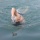 HuntGold 1 Paar Schwimmhandschuhe Gre:M Bild 2