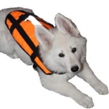 Schwimmweste fr Hunde von 8 bis 15 Kg,Bootskiste Bild 1