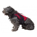 Jobe Weste Schwimmweste Schwimmhilfe fr Hunde Gr. XS Bild 1