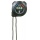 Casio Sport-Stoppuhr HS-3V-1RET Bild 2